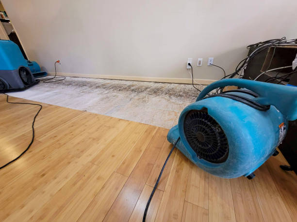 Professional Burst Pipe Water Damage technician working in Saint James, MN